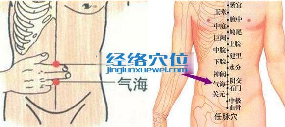氣海穴位位置圖