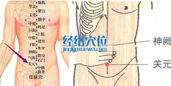 關元穴位位置圖