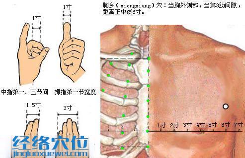 胸鄉(xiāng)穴的位置圖