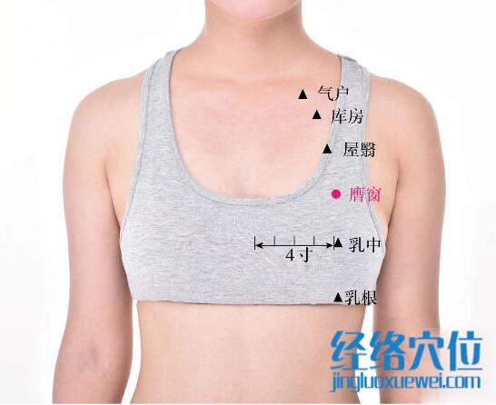 膺窗的準(zhǔn)確位置圖及功效視頻位位置圖