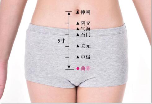 曲骨的準確位置圖及功效視頻位位置圖