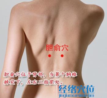 膽俞穴