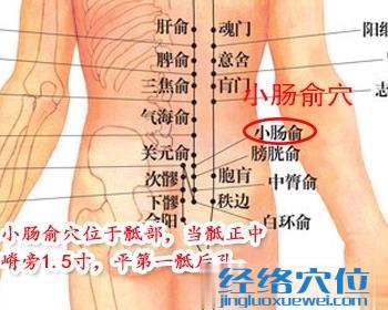 小腸俞穴
