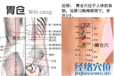 胃倉穴