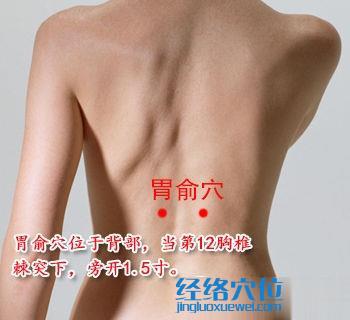 胃俞穴位位置圖