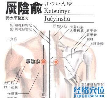 厥陰俞穴