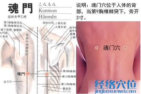 魂門穴位位置圖