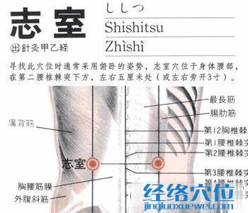 志室穴