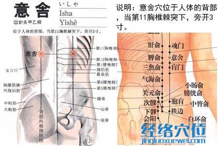 意舍穴位位置圖