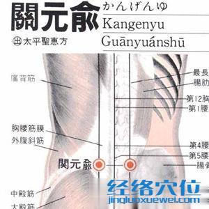 關元俞穴