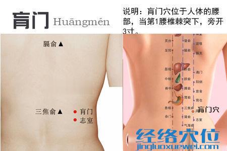 肓門穴位位置圖