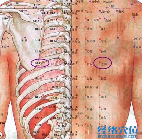 譩譆穴的準確位置圖及解剖結構