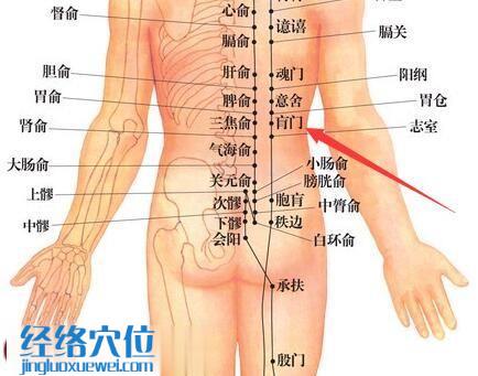 肓門穴的準確位置圖