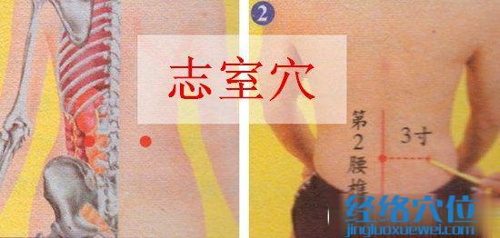 志室穴的準確位置圖