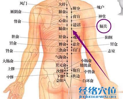 足太陽膀胱經(jīng)膈關(guān)穴