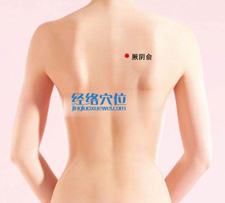 厥陰俞穴