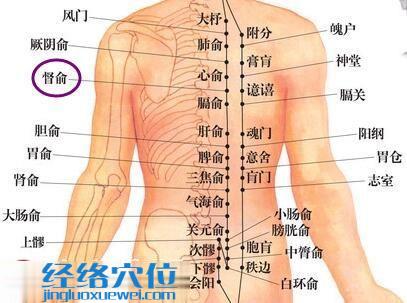 督俞穴的準確位置圖