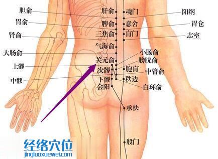 關元俞穴的準確位置圖