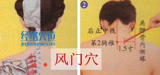 風門穴位位置圖