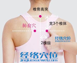 肺俞穴的準確位置圖