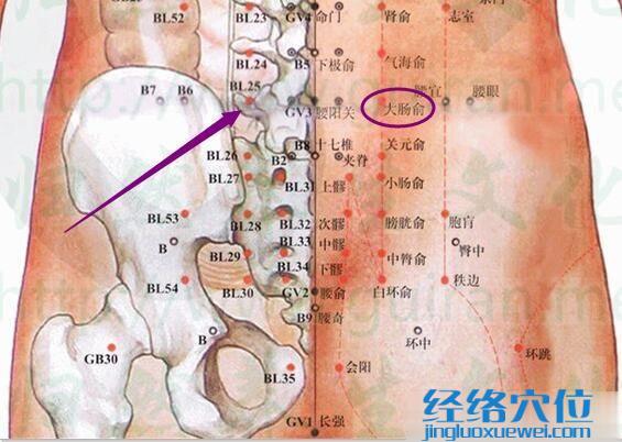 大腸俞穴的準(zhǔn)確位置圖