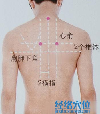 心俞穴的位置及取穴示意圖