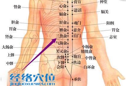 足太陽膀胱經(jīng)三焦俞穴位圖