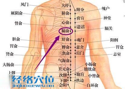 足太陽膀胱經膈俞穴的位置圖