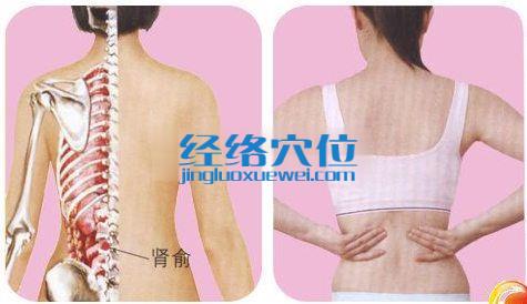 腎俞穴