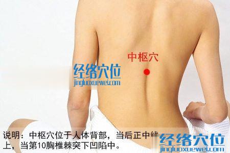 中樞穴位圖