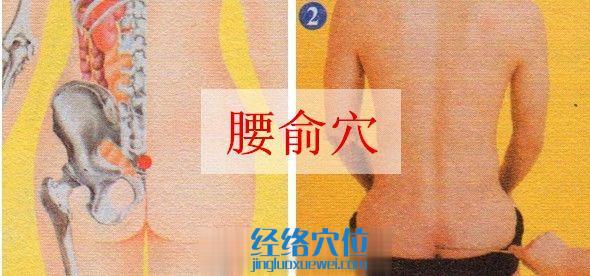 腰俞穴的準確位置圖