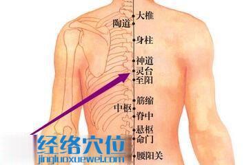 靈臺穴位圖