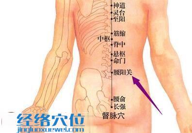 腰陽關穴位圖