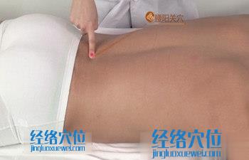 腰陽關穴位位置圖