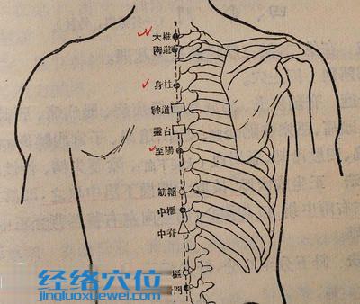 筋縮穴的位置