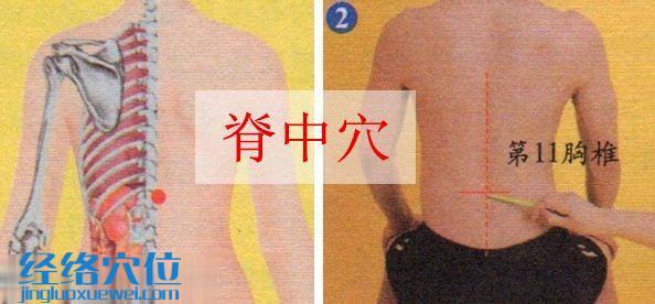 脊中穴的準確位置圖