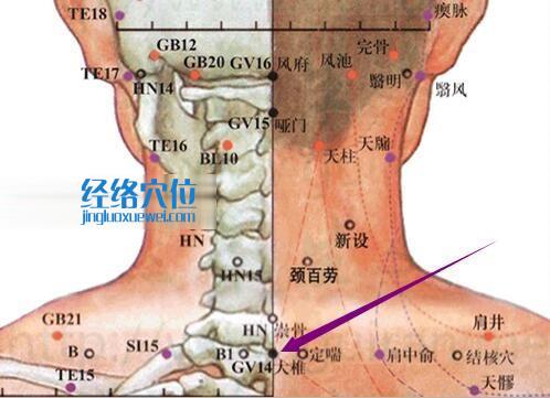 大椎穴的準確位置圖
