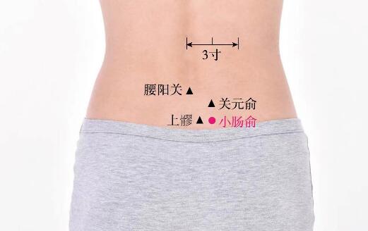 小腸俞的準確位置圖及功效視頻位位置圖