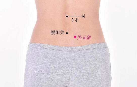 關元俞的準確位置圖及功效視頻位位置圖