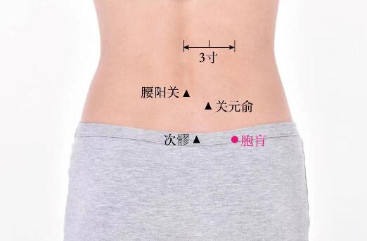 胞肓的準確位置圖及功效視頻位位置圖