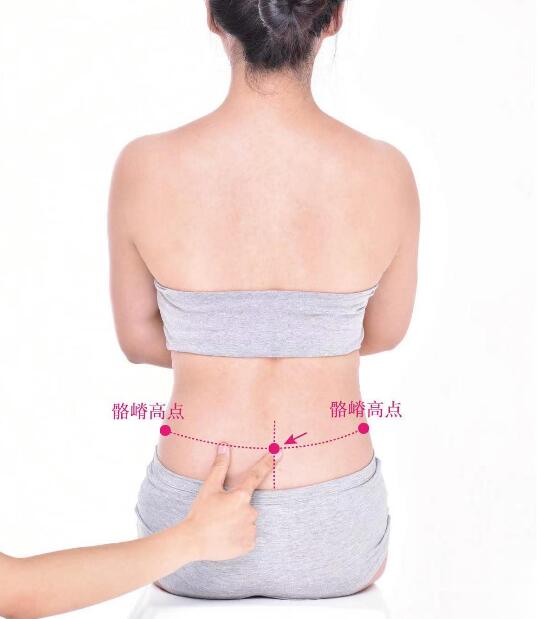 腰陽(yáng)關(guān)的準(zhǔn)確位置圖及功效視頻位位置圖