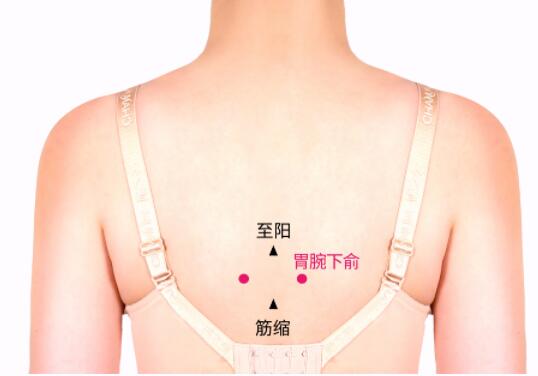 胃脘下俞的準確位置圖及功效視頻位位置圖