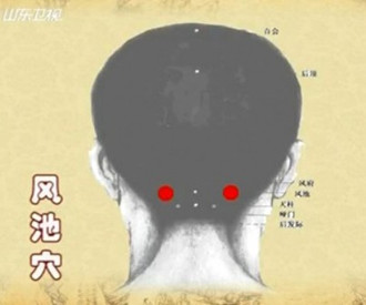 治療頭痛的穴位：風池穴位圖