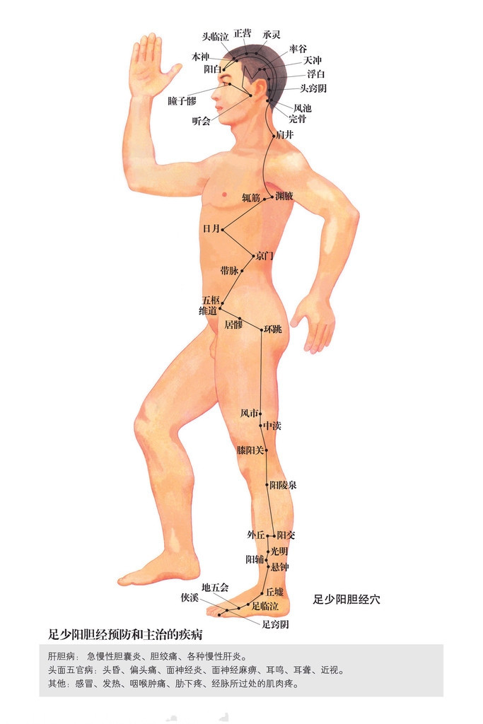 足少陽膽經穴位圖