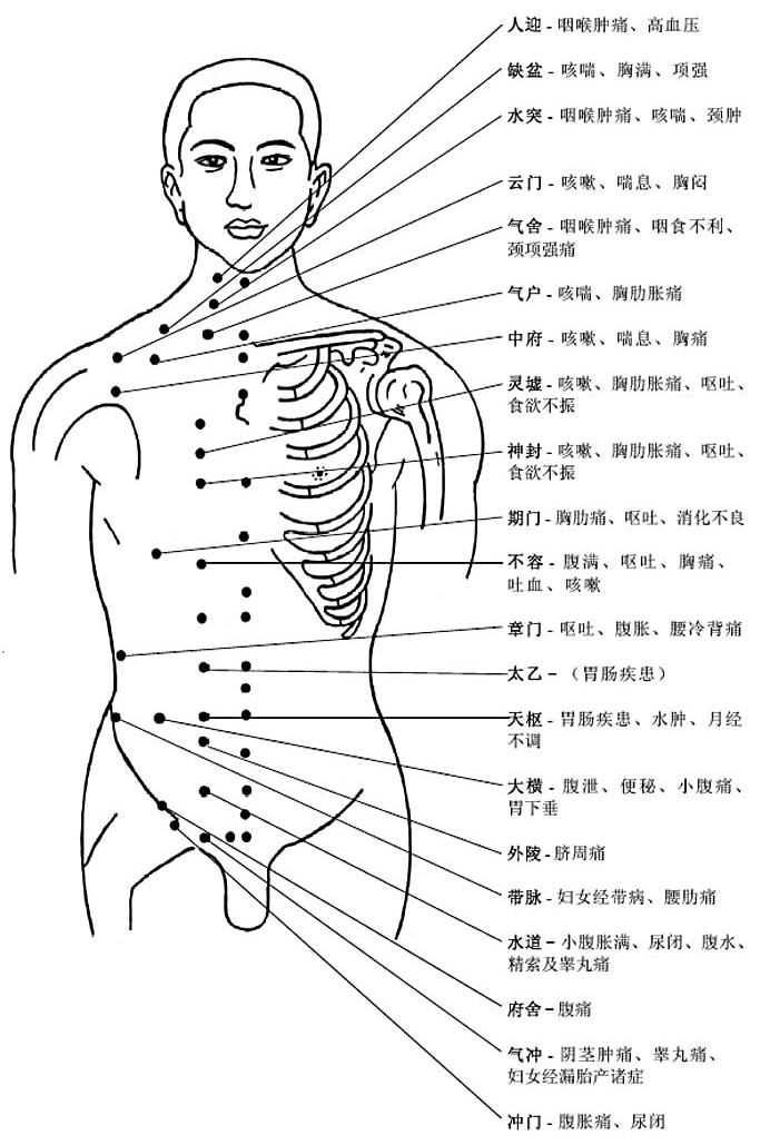 胸部腹部穴位圖及作用功效