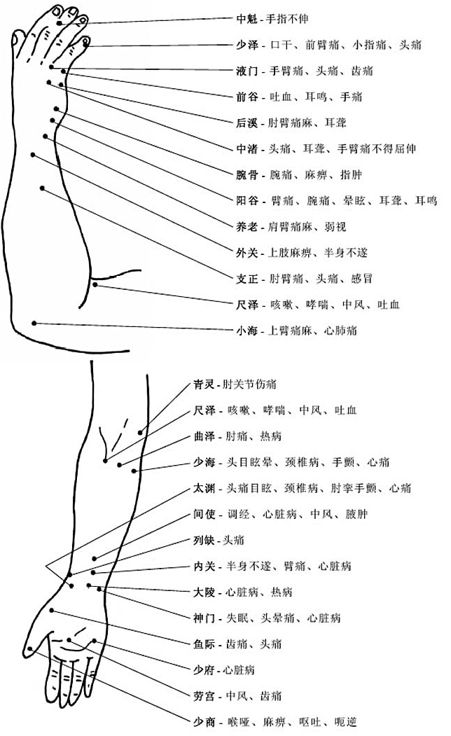 胳膊手部穴位圖及作用功效