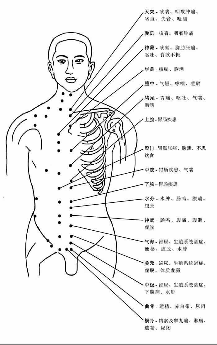 胸部腹部穴位圖及作用功效