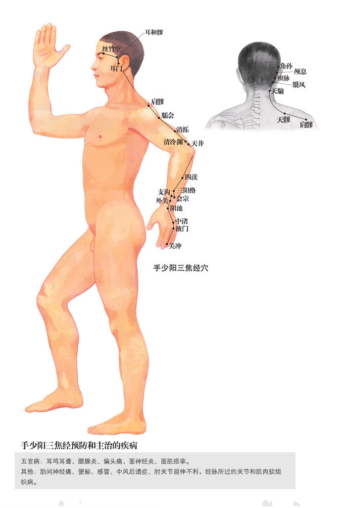 手少陽三焦經穴位圖