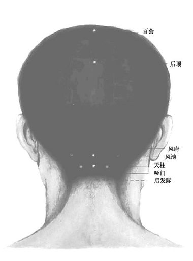 人體頭部背面穴位圖