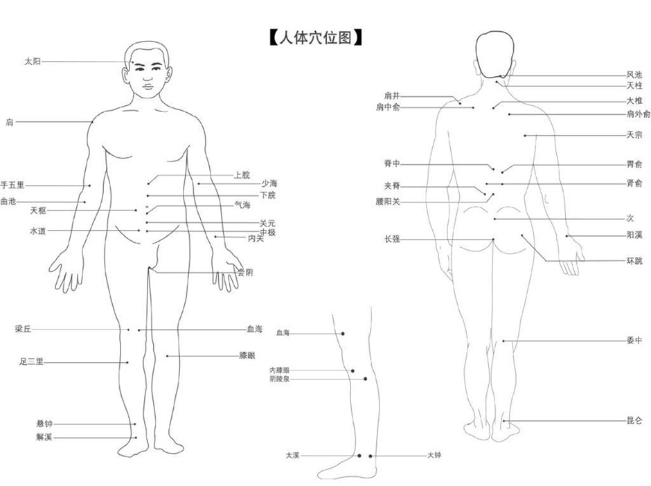 人體穴位分布圖